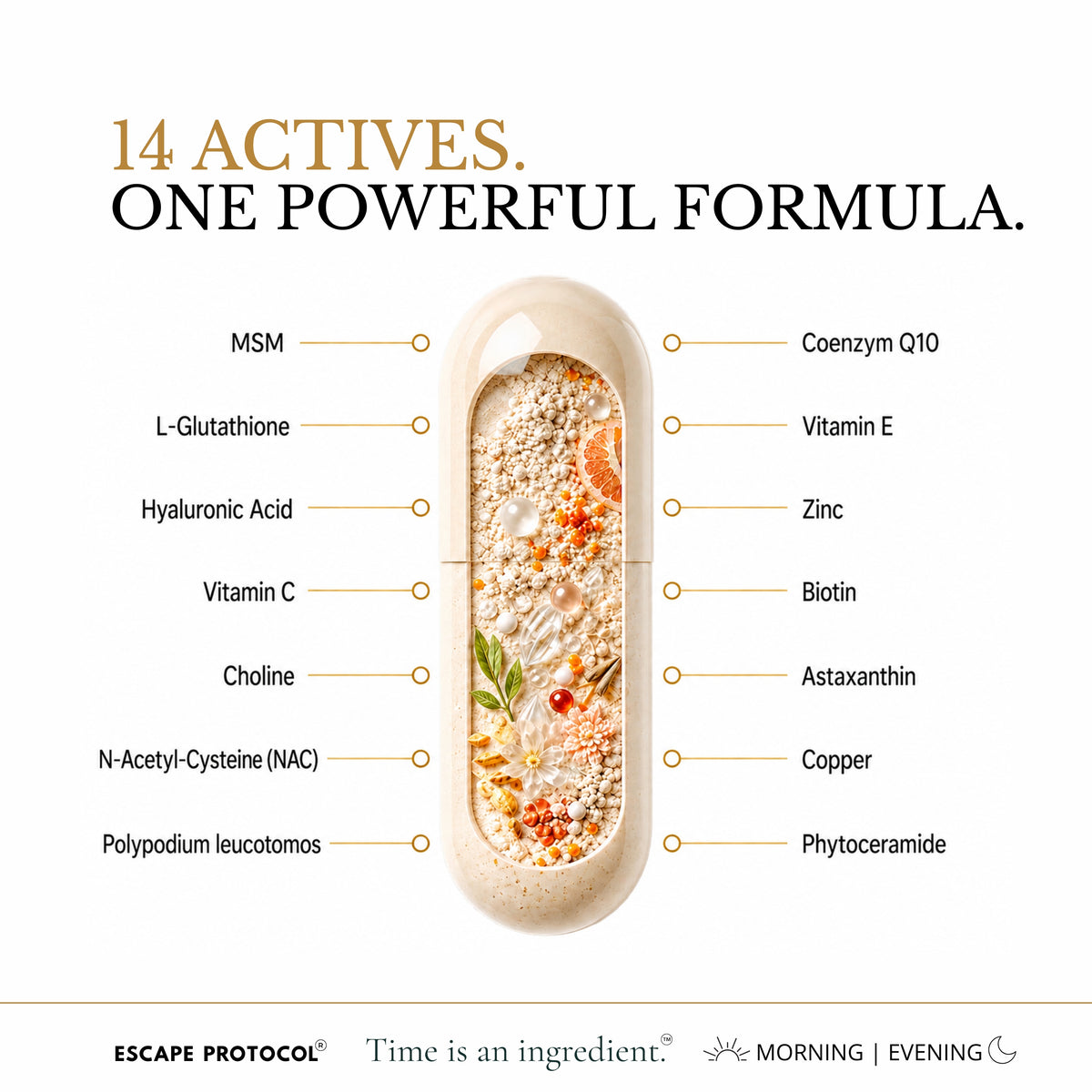 Skin Renewal Complex