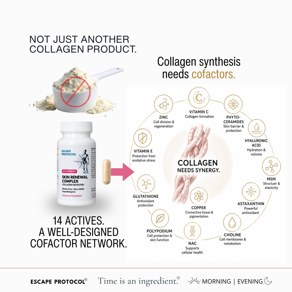Skin Renewal Complex