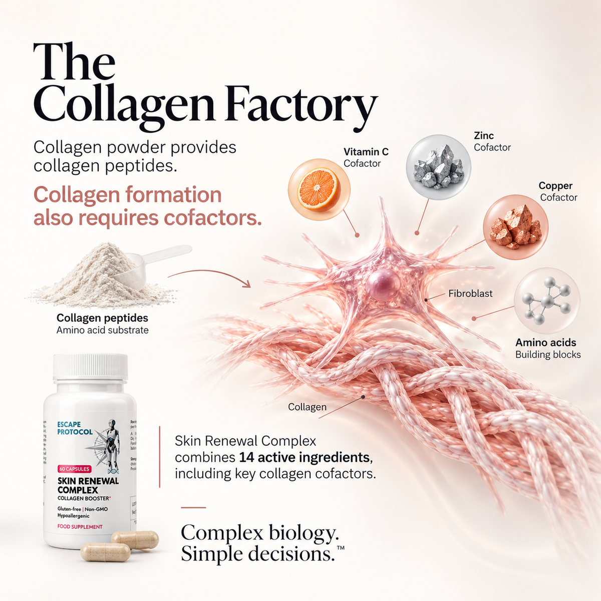 Skin Renewal Complex