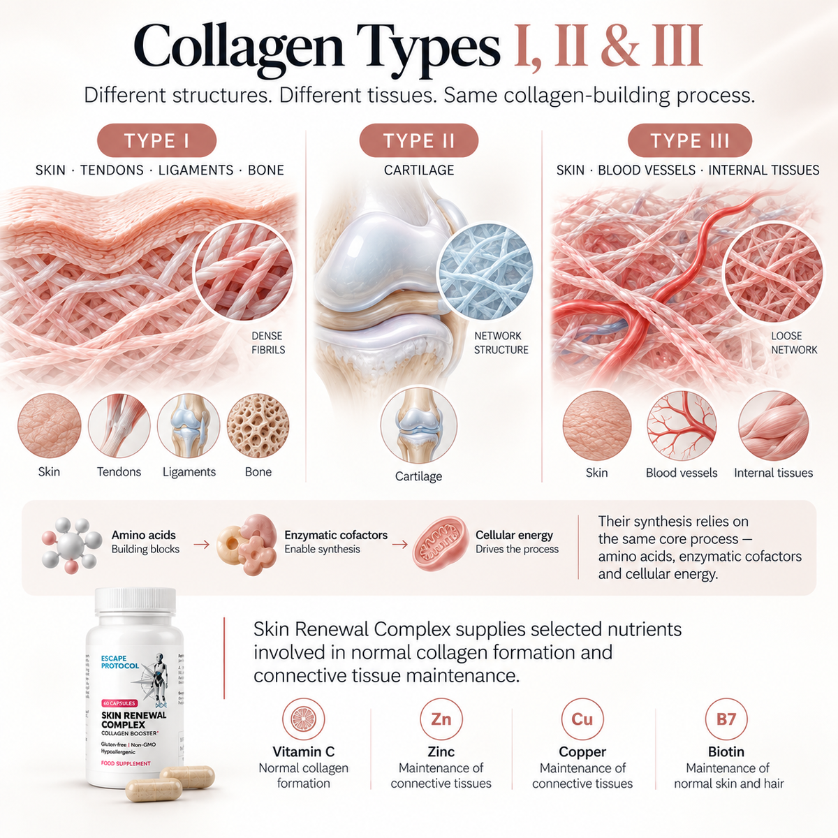 Skin Renewal Complex